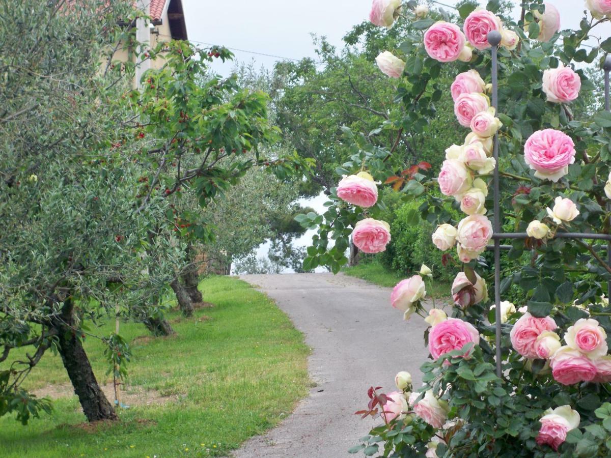 Holiday House Ida Marezige Exterior foto